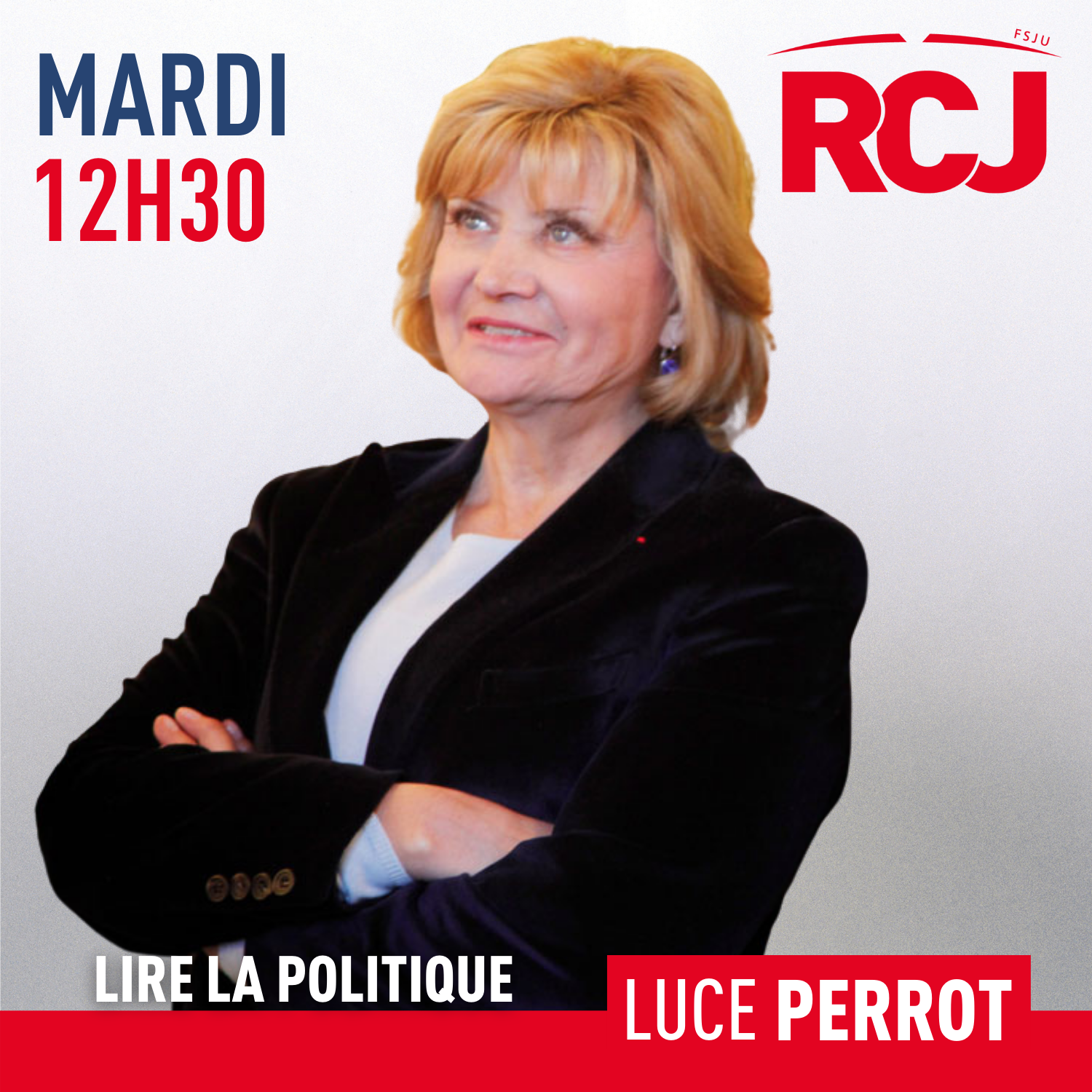 Lire la politique &#8211; Luce Perrot
